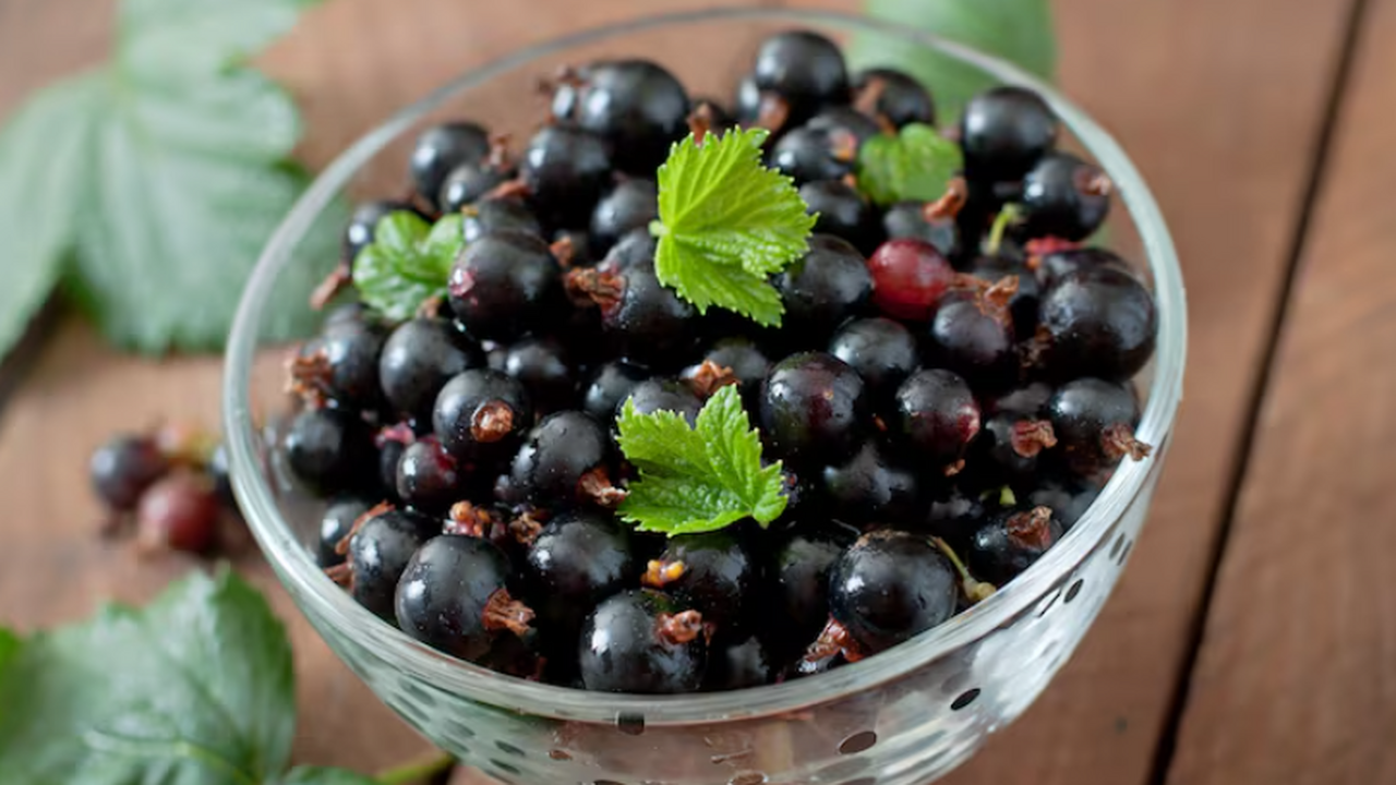 Дачники, обрежьте свои кусты смородины в ноябре: есть интересные особенности Как правильно обрезать смородину осенью: секрет...