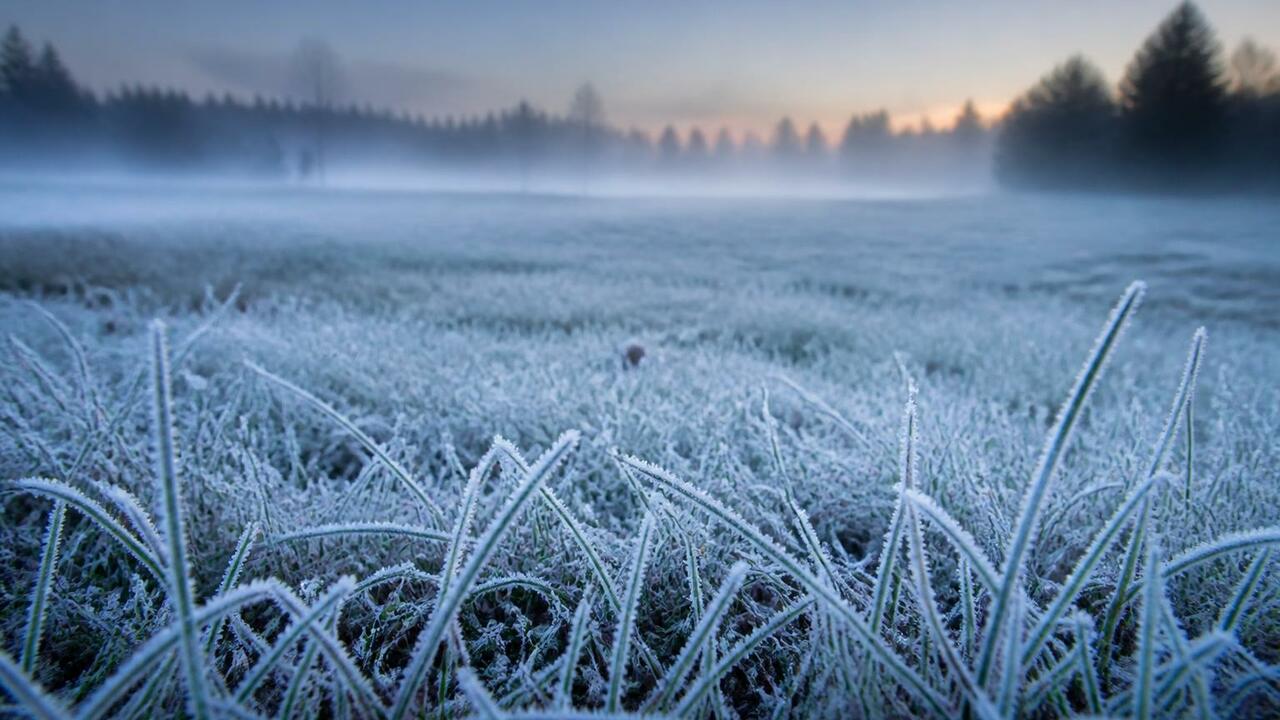 Ночные заморозки до –2°C, дожди и температура н...