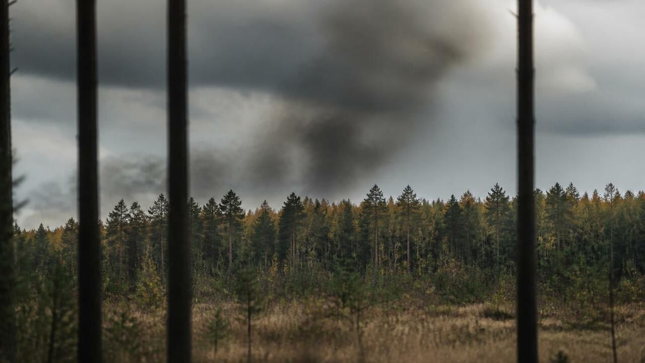 Мурманчанам рассказали, как спастись при лесном пожаре Спасатели Мурманской области напомнили жителям ...