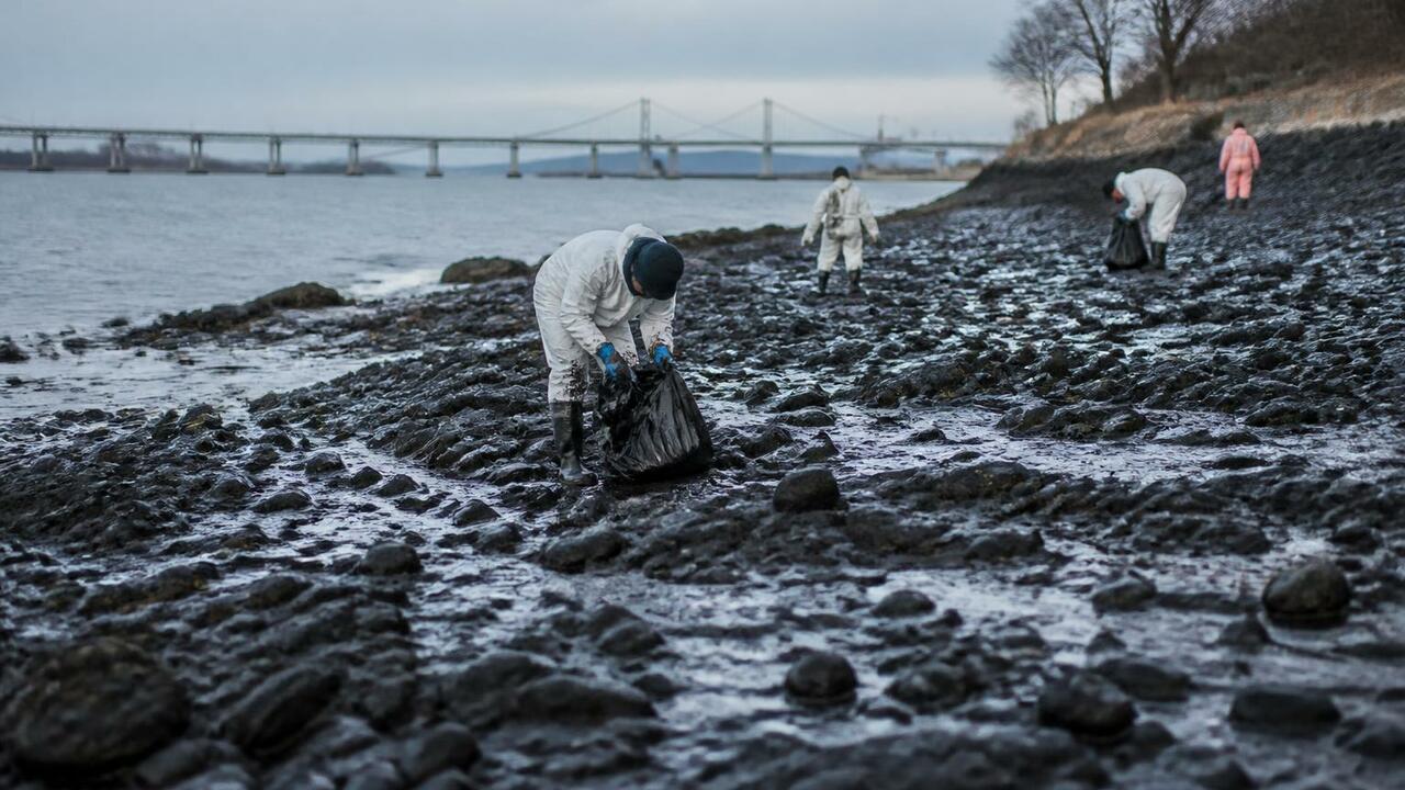 Волонтеры очистили побережье Кольского залива от нефтепродуктов Волонтеры очистили побережье Кольского залива о...