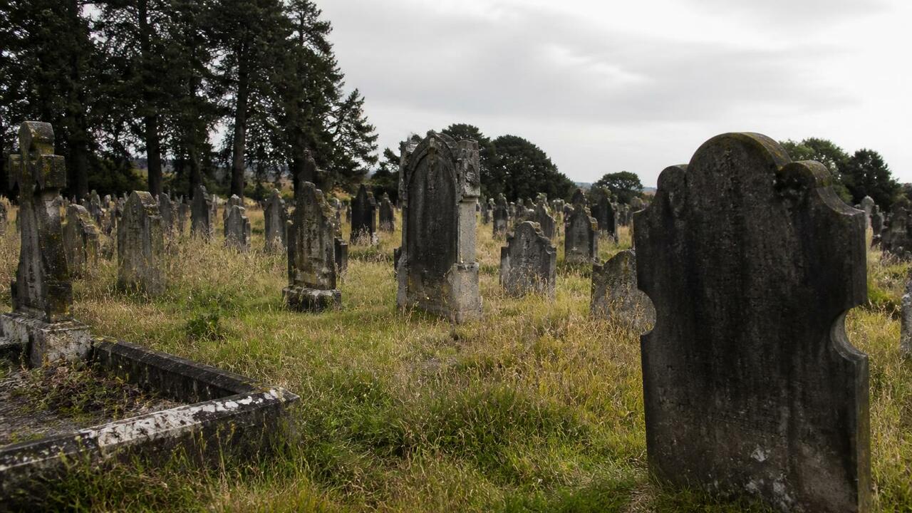 Старое кладбище Мурманска хотят превратить в мемориал с QR-кодами На историческом кладбище Мурманска, где не хоро...