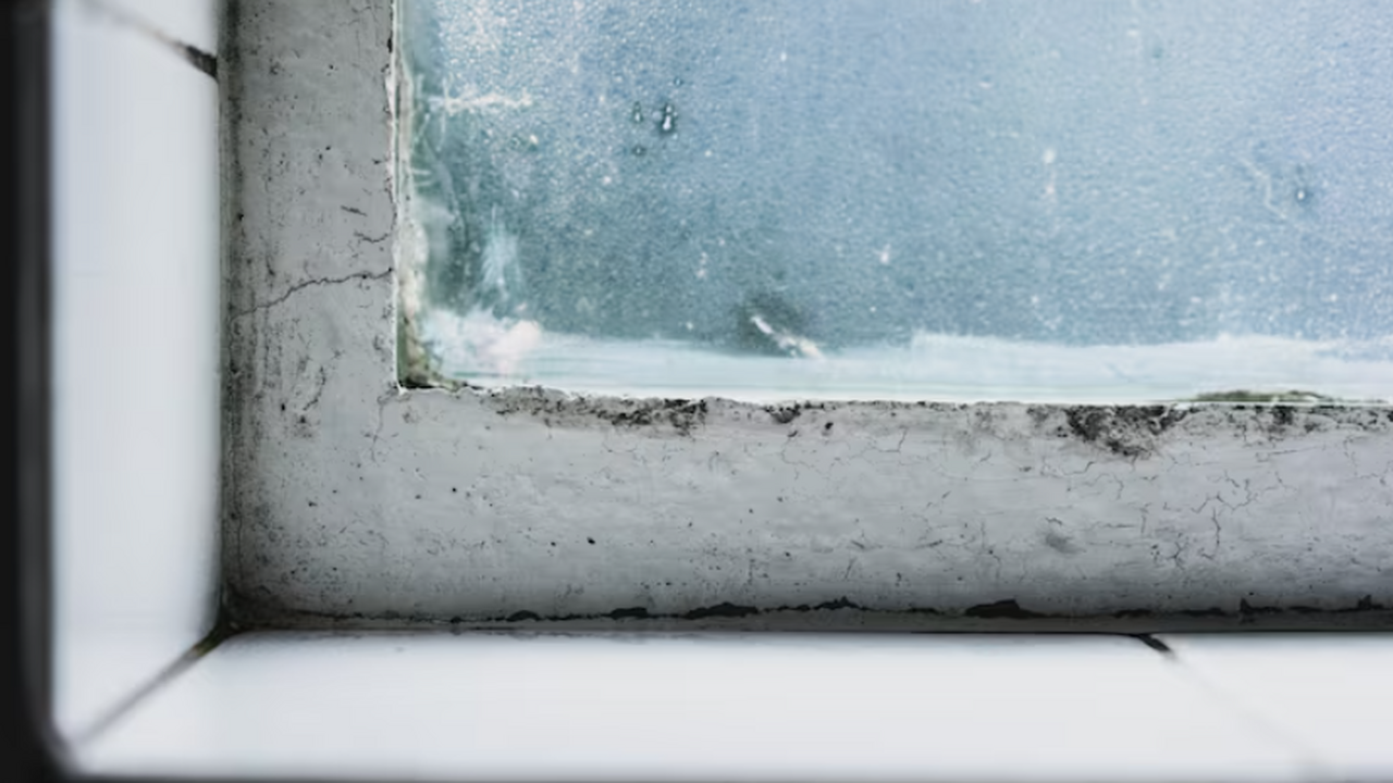 Беру рулон обычной туалетной бумаги: из щелей не дует даже в лютый мороз - подоконник всю зиму теплый Дешевый лайфхак: как заделать щели в окнах на з...