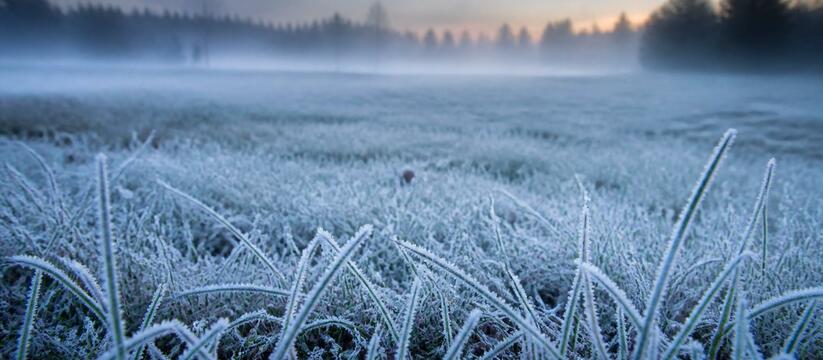 Август радовать не намерен: в Мурманской области ночные заморозки до –2°C и дожди Ночные заморозки до –2°C, дожди и температура н...