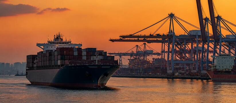 Китайская New New Shipping Line готова инвестир...