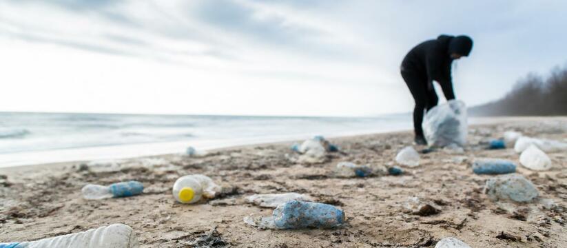 Ученые МГУ и волонтеры отправятся из Североморс...
