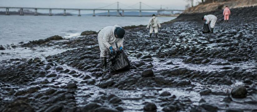 Волонтеры очистили побережье Кольского залива от нефтепродуктов Волонтеры очистили побережье Кольского залива о...