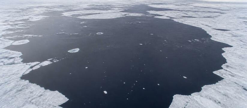 Полынья 89 тыс. км² у Восточной Антарктиды: почему лед не замерз У Восточной Антарктиды обнаружена полынья площа...