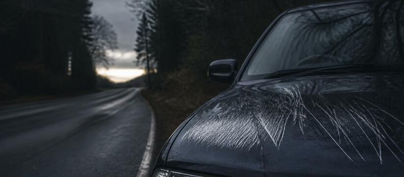 В Хоккайдо медведица напала на автомобиль женщи...