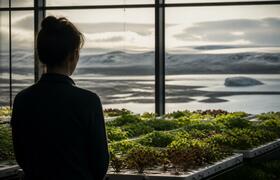 Путин поручил рассмотреть создание биоэкопоселе...