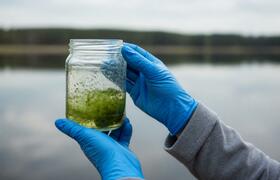 Проект школьников Заполярья по очистке водоросл...