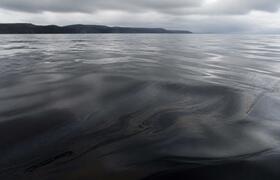 В акватории Кольского залива обнаружено нефтяно...