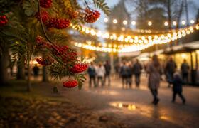 Рябиновый фестиваль в Африканде соберет семьи с...