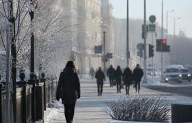 В Мурманской области за неделю зафиксировано бо...